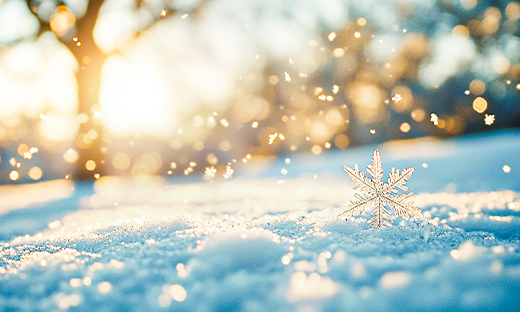 【喜报】中船风帆“‘产改’赋能、助工成匠”工作结硕果